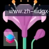 问鼎娱乐 logo
