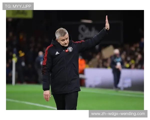 沃特福德队英超球员阵容及赛季表现回顾 沃特福德队英超球员阵容及赛季表现回顾