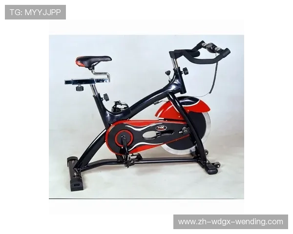 类似动感单车的健身器材类型及体育训练方法 类似动感单车的健身器材类型及体育训练方法