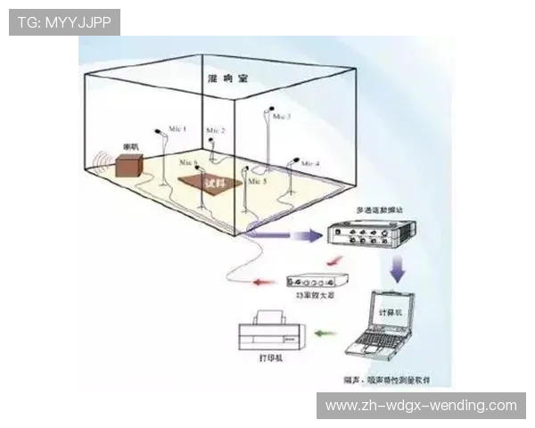 足球场建筑设计中的声学原理与观众体验优化
